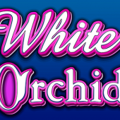 White Orchid logo