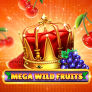 Mega Wild Fruits logo