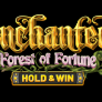 Enchanted: Forest of Fortune logo